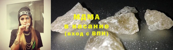 шишки Пересвет