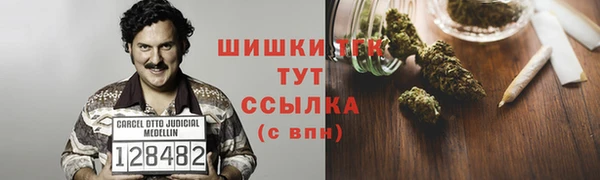 шишки Пересвет