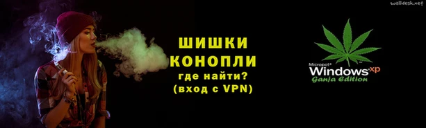 шишки Пересвет