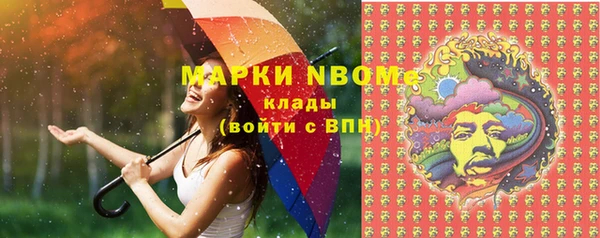шишки Пересвет