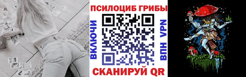 нарко площадка формула  Торопец  Псилоцибиновые грибы мухоморы 